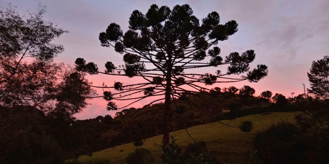 Pousada Recanto Da Vitoria Gonçalves Екстериор снимка